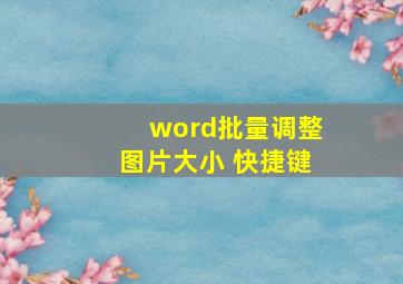 word批量调整图片大小 快捷键